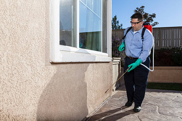 Professional Pest Control in Castle Pines Village, CO